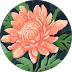 Mar 2023 - Kenea K. - 5 stars