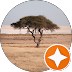 Mar 2019 - Leticia C. - 5 stars