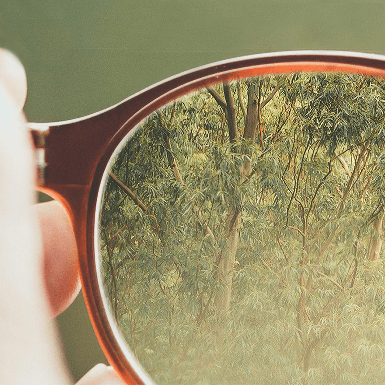 Climate action and sustainability